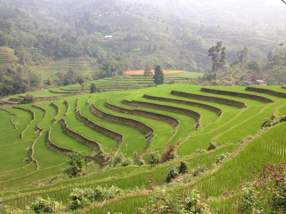 Ngan Nga Bac Ha Hotel エクステリア 写真